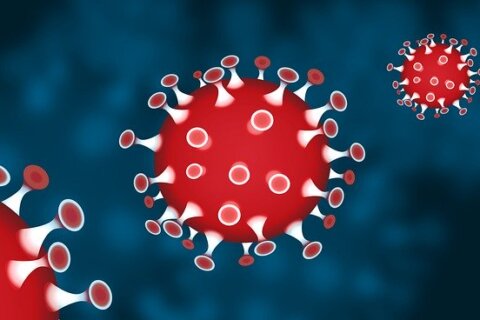 Corona Coronavirus Virus Pandemic