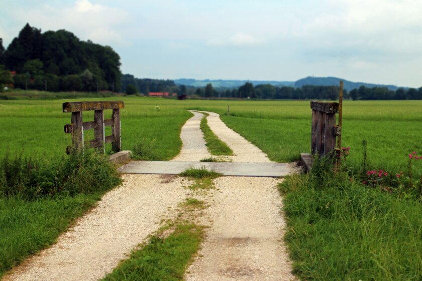 Feldweg grüner Wiese